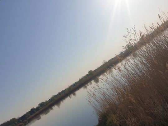 Kiesgrube Dölzig