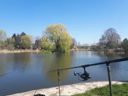 Hofeteich (Wilschdorf)-1