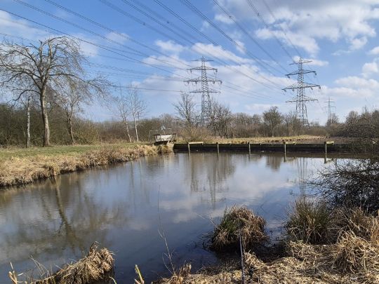 Rückhaltebecken Moorburg