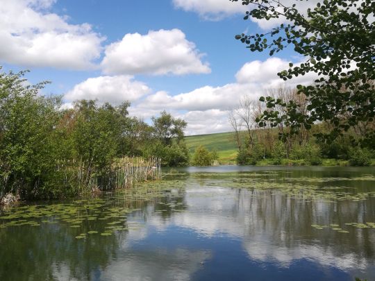 Trenkelhofer Teich-3