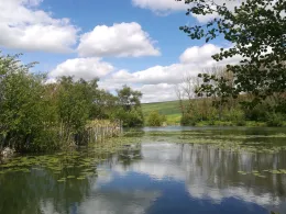 Trenkelhofer Teich-3