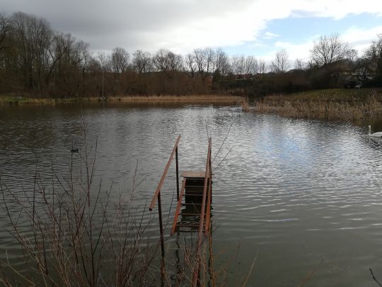 Trenkelhofer Teich-1