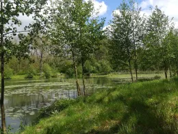 Trenkelhofer Teich-4