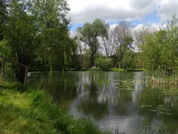 Trenkelhofer Teich-2