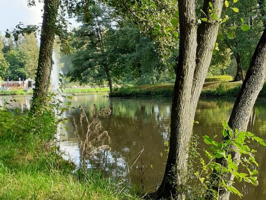 Stadtparkteich (Wilhelmshaven)