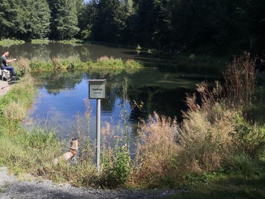 Angelpark Letscher-2