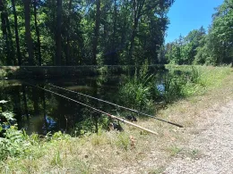 Ludwig-Donau-Main-Kanal (Wendelstein)-2