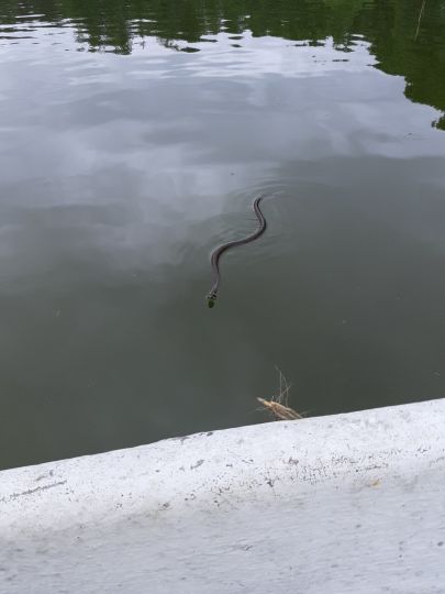 Großer Kastavensee-2