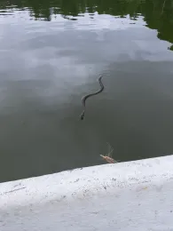 Großer Kastavensee-2