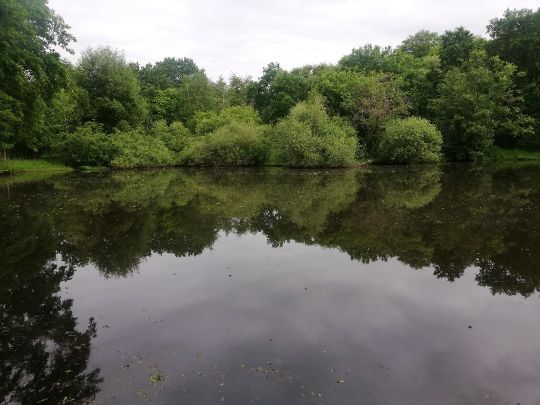 Laakenkuhle (Hagenow)-3