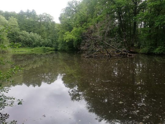 Laakenkuhle (Hagenow)-2