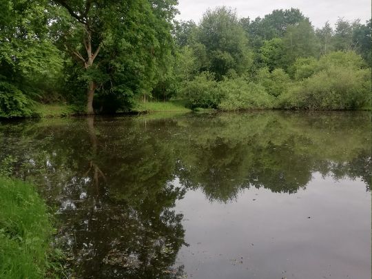 Laakenkuhle (Hagenow)-1