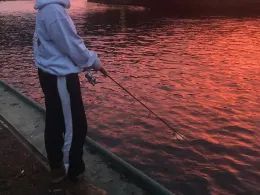 Berlin-Spandauer-Schifffahrtskanal-4