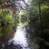 Mühlenhunte (Oldenburg)