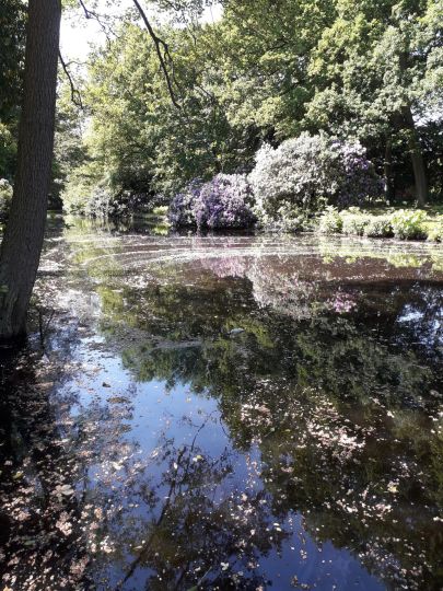 Mühlenhunte (Oldenburg)-3