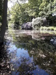 Mühlenhunte (Oldenburg)-3