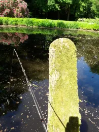 Mühlenhunte (Oldenburg)-4