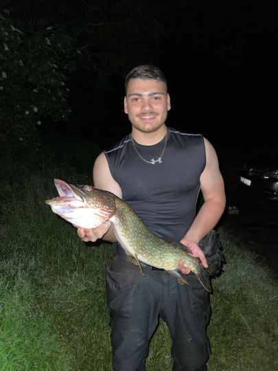 Rosensee (Schwentinental)-0