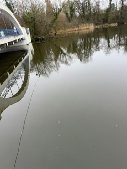 Rosensee (Schwentinental)-2