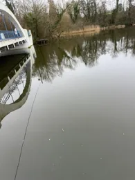 Rosensee (Schwentinental)-2