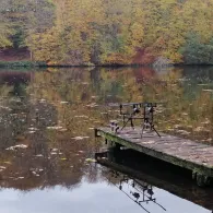 Rosensee (Schwentinental)-4