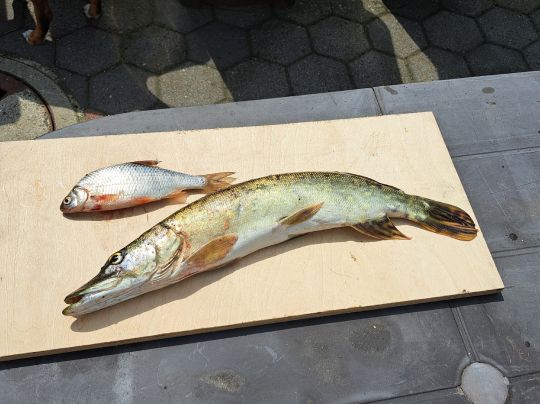 Großes Meer (Holte)