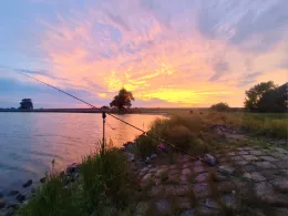 Elbe (Boizenburg/Elbe)-2