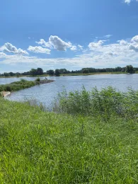 Elbe (Boizenburg/Elbe)-4