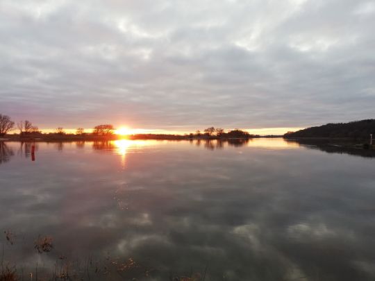 Elbe (Boizenburg/Elbe) angeln
