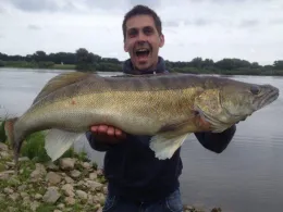 Elbe (Boizenburg/Elbe)-2