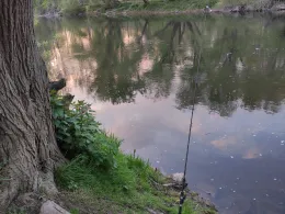 Sieg (Troisdorf-Bergheim)