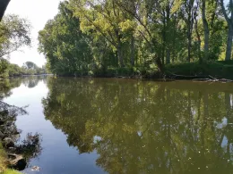 Sieg (Troisdorf-Bergheim)-3