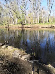 Sieg (Troisdorf-Bergheim)-2