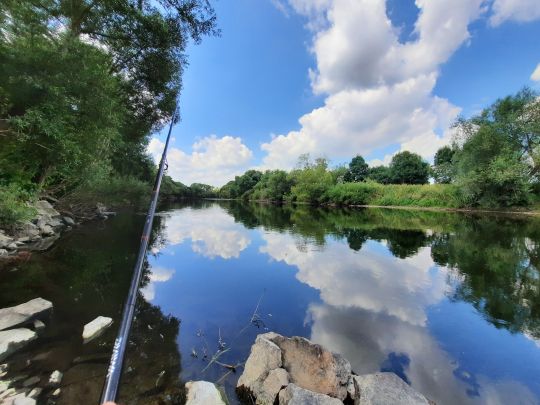 Sieg (Troisdorf-Bergheim)-1