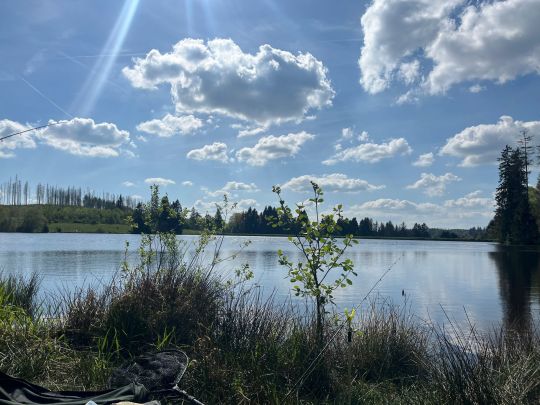 Ziegenberger Teich-4