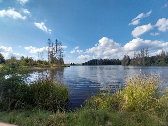 Ziegenberger Teich-3