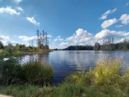 Ziegenberger Teich-3