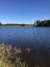 Ziegenberger Teich-1