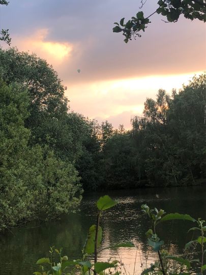 Schwanenteich (Oldenburg)