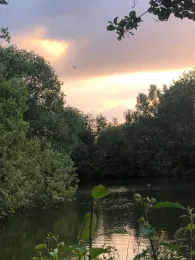 Schwanenteich (Oldenburg)