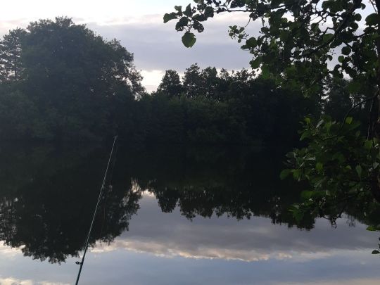 Schwanenteich (Oldenburg)-2