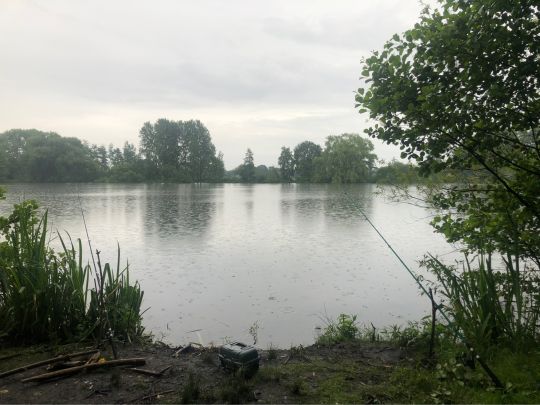 Schwanenteich (Oldenburg)-1