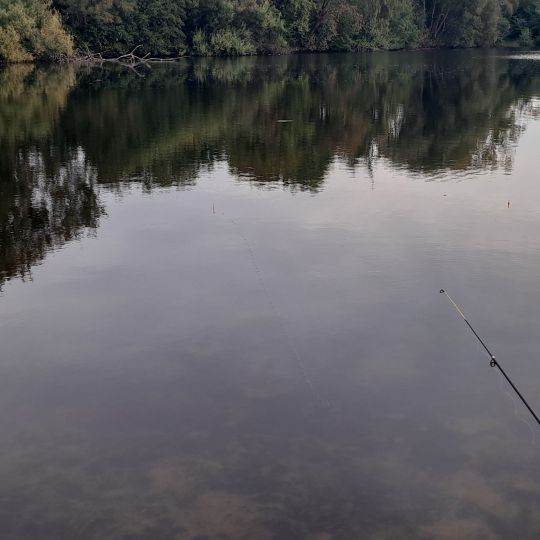 Schwanenteich (Oldenburg)-3