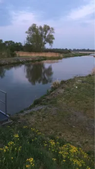 Allerentlastungskanal