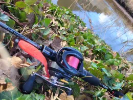 Abrooksbach (Harsewinkel)