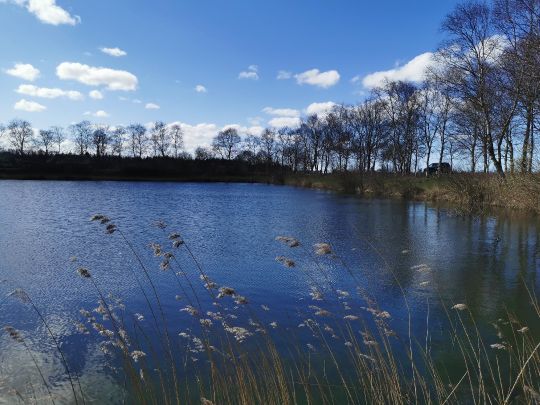 Kuhle Dietrichsfeld-1