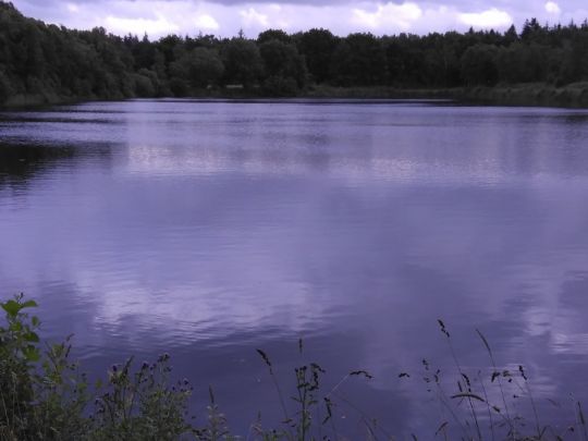 Kuhle Dietrichsfeld-3