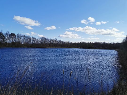 Kuhle Dietrichsfeld-2