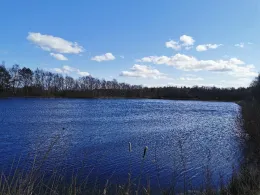 Kuhle Dietrichsfeld-2