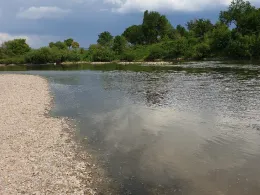 Neckar (Ilvesheim-Seckenheim)-2